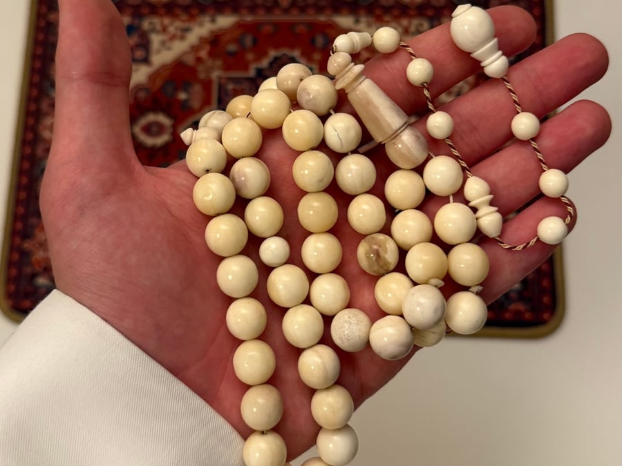 مسباح عظم الجمل (دائري فاخر)