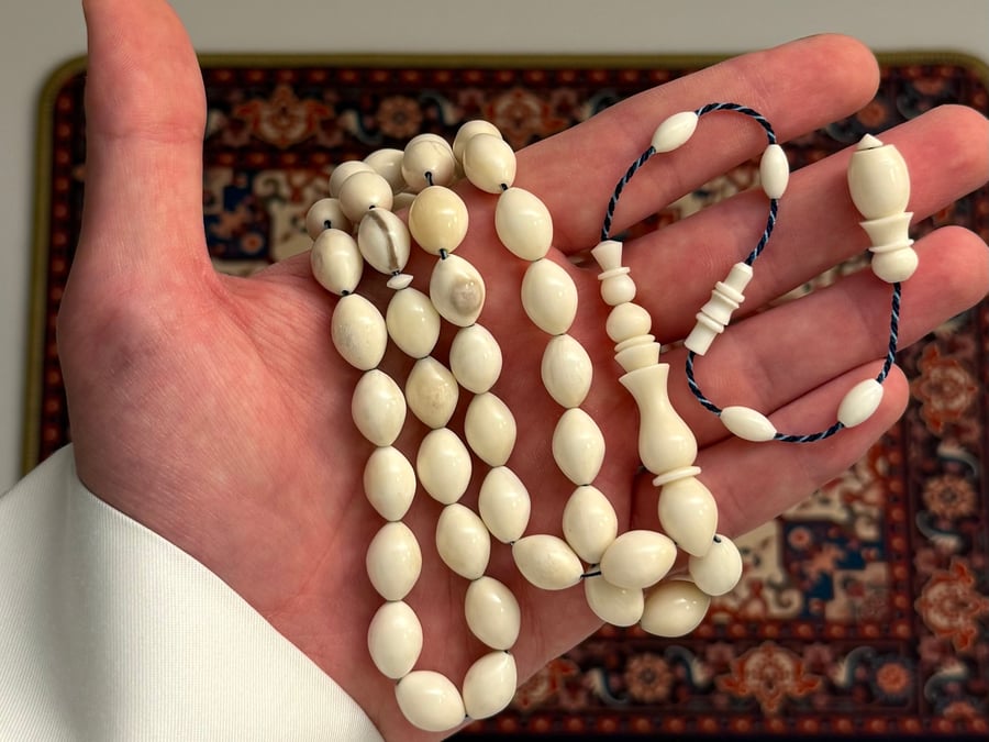 مسباح عظم الجمل (بيضاوي كبير)