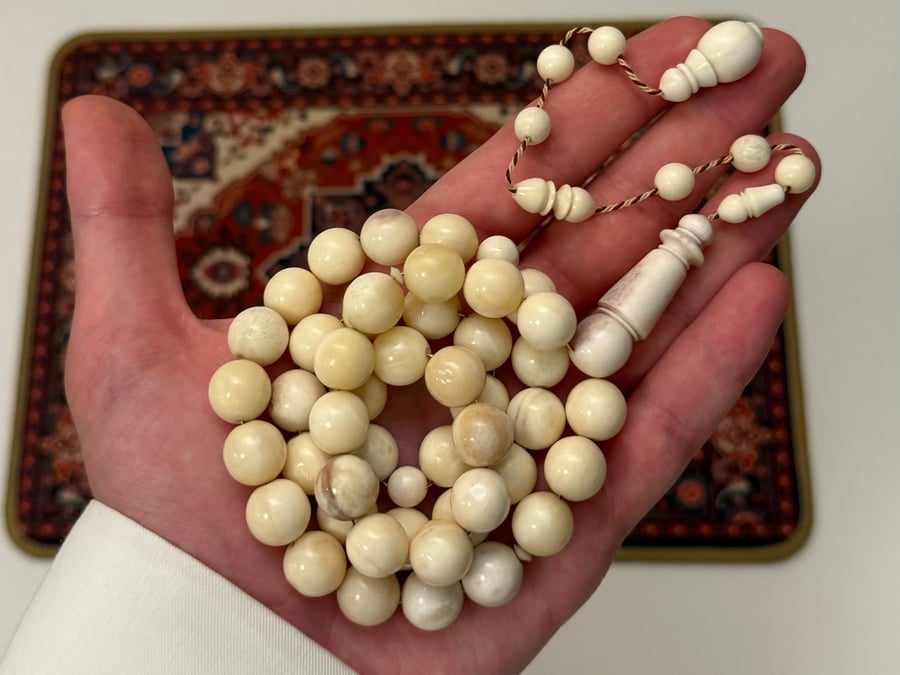 مسباح عظم الجمل (دائري فاخر)