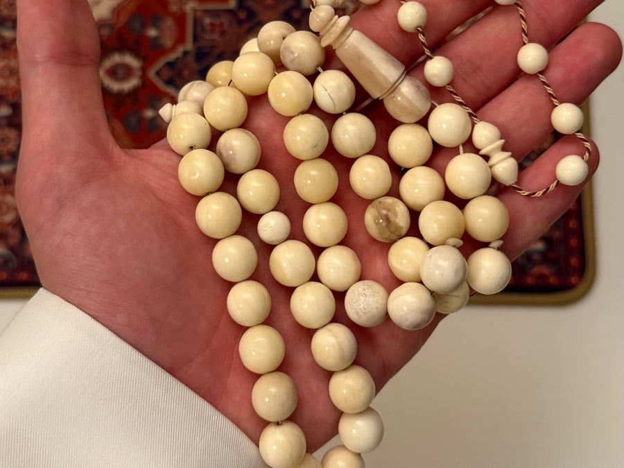 مسباح عظم الجمل (دائري فاخر)