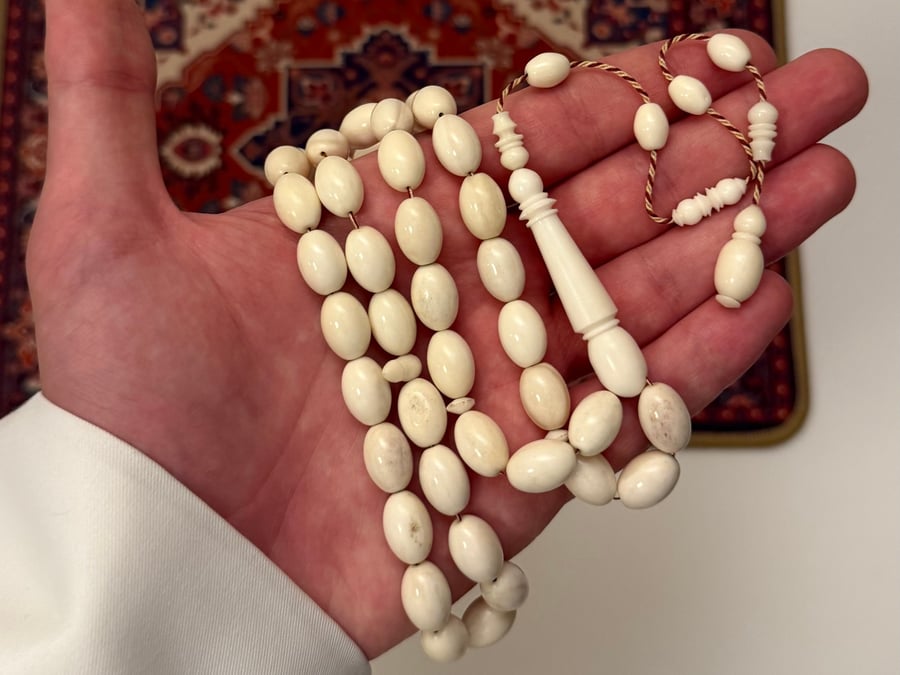مسباح عظم الجمل (بيضاوي)