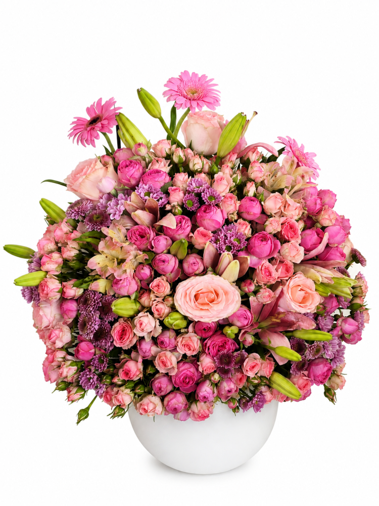 Rose Joy