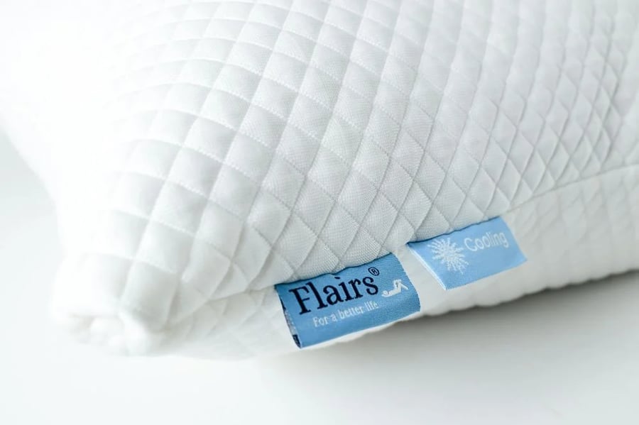 Flairs pillow 2x