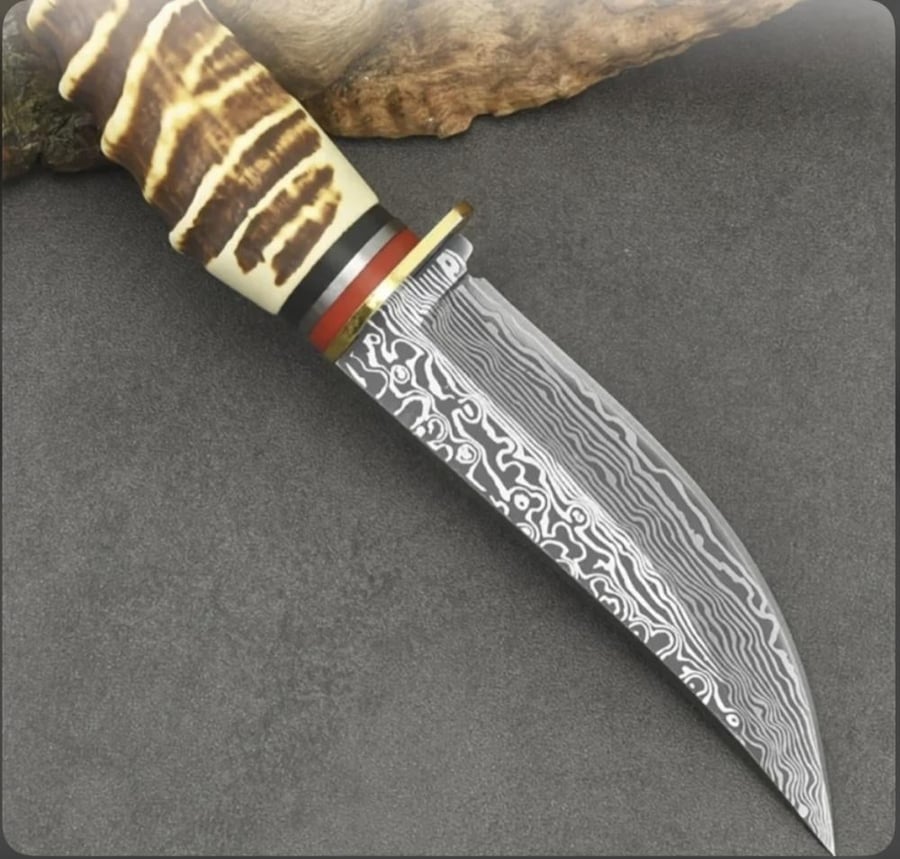 قرن الغزال دمشقي