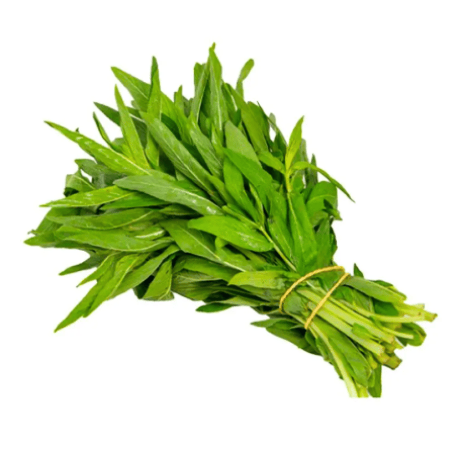 حبق