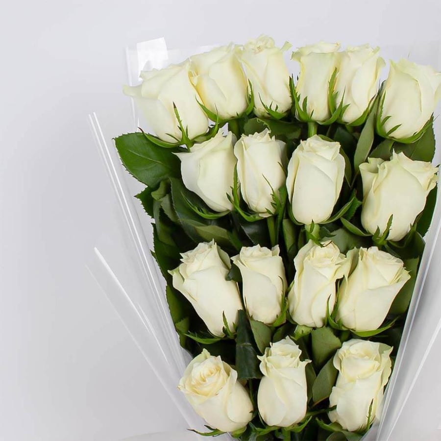 باقة البياض