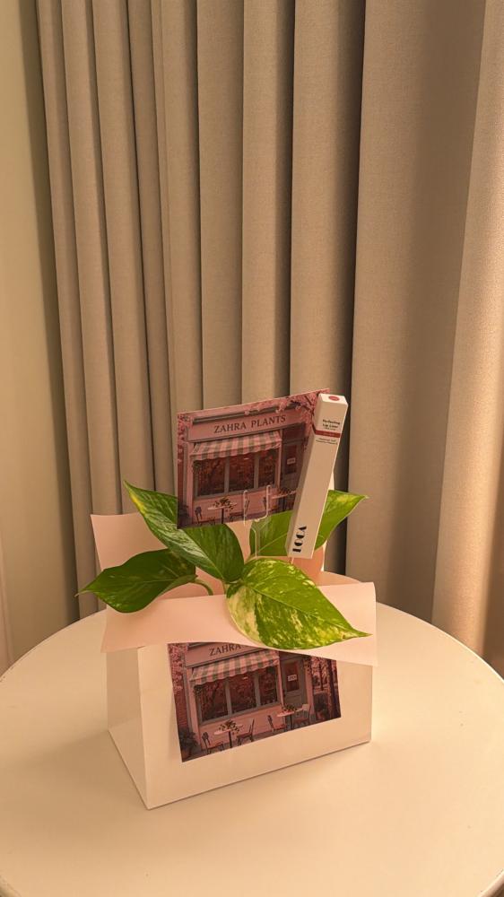 Birthday gift