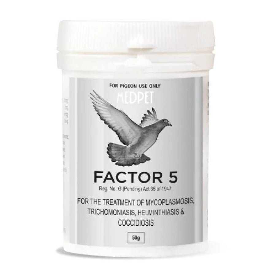 FACTOR 5