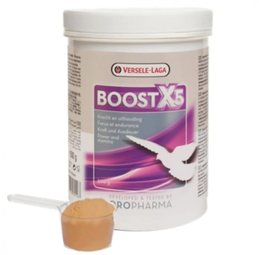 BOOST X5-بودرة  من فرسلاقا Versele Laga 500g