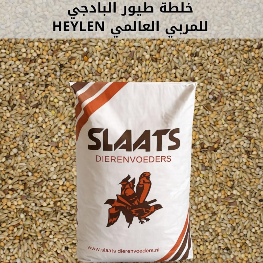 خلطة طيور البادجي للمربي العالمي هايلن (HEYLEN) من SLAATS – غذاء متوازن وعالي الجودة للبادجي | 20 كجم