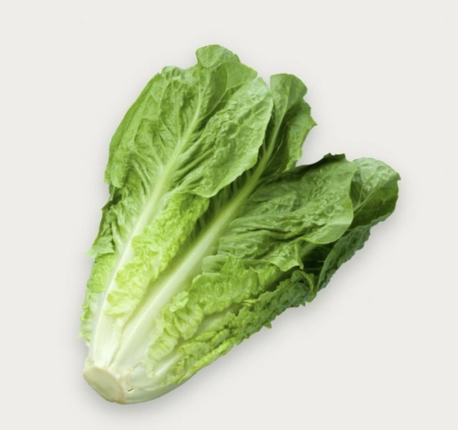خس بلدي