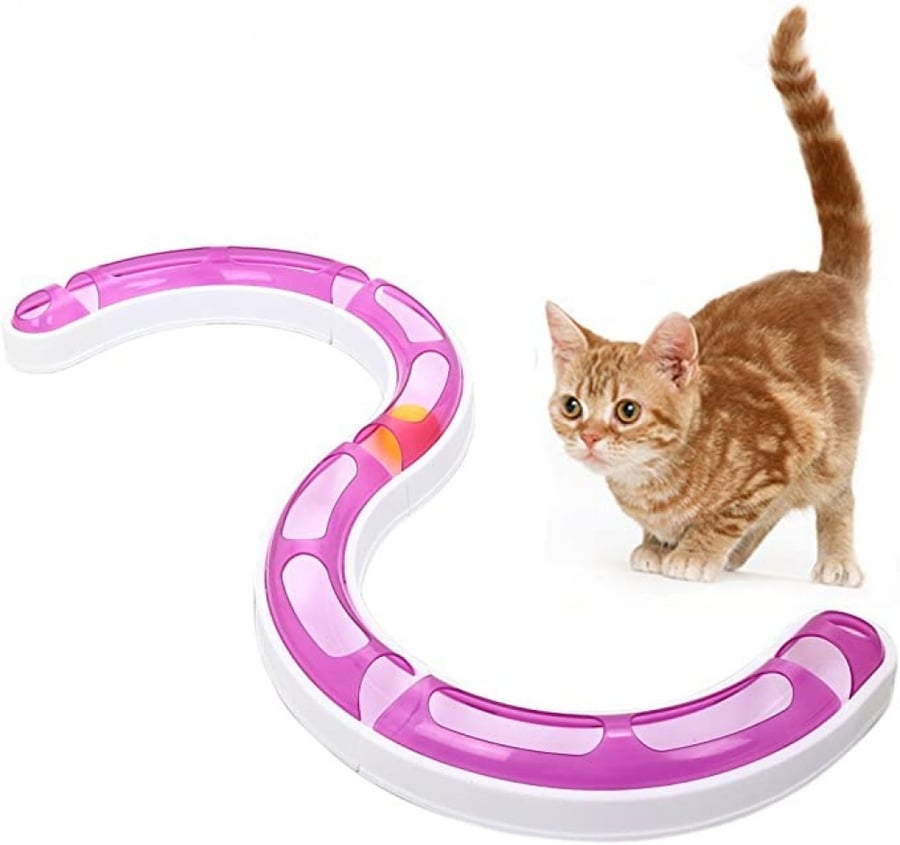 Cat game