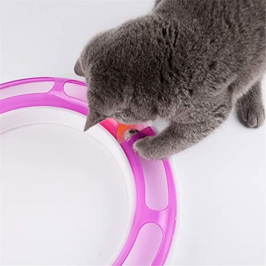 Cat game