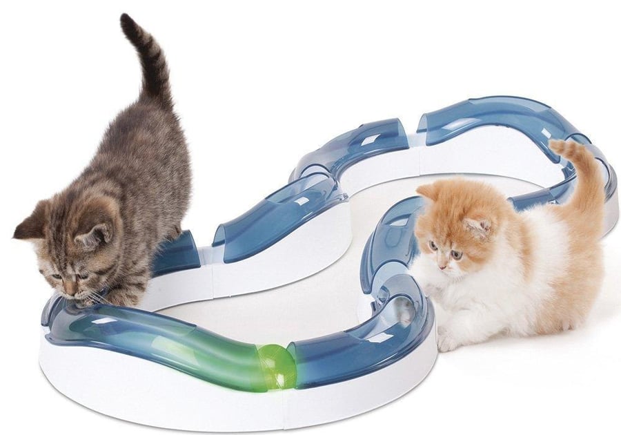 Cat game