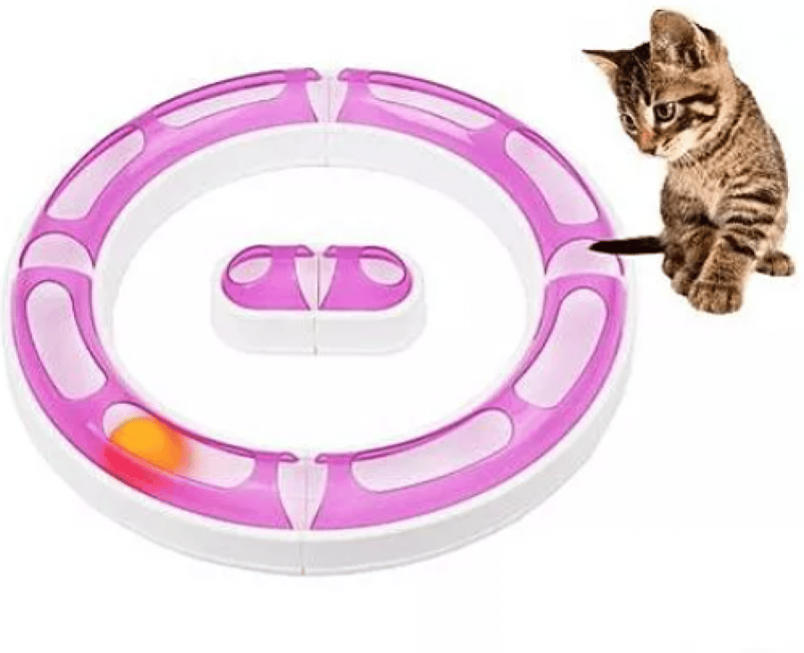 Cat game