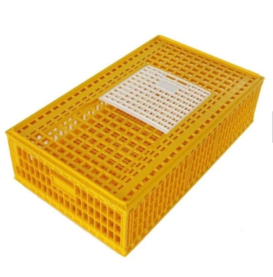 قفص اصفر