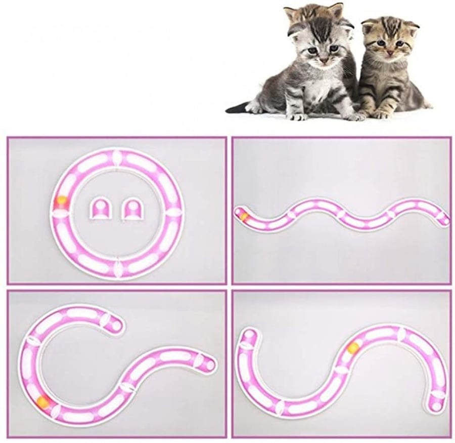 Cat game