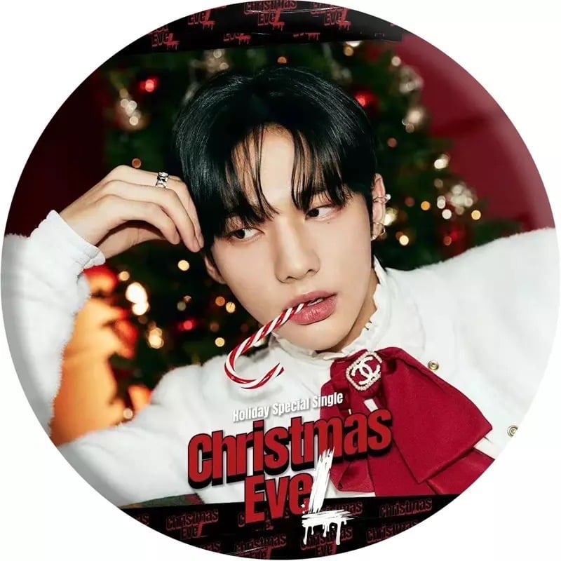 بروشات ستراي كيدز Stray Kids Brooch