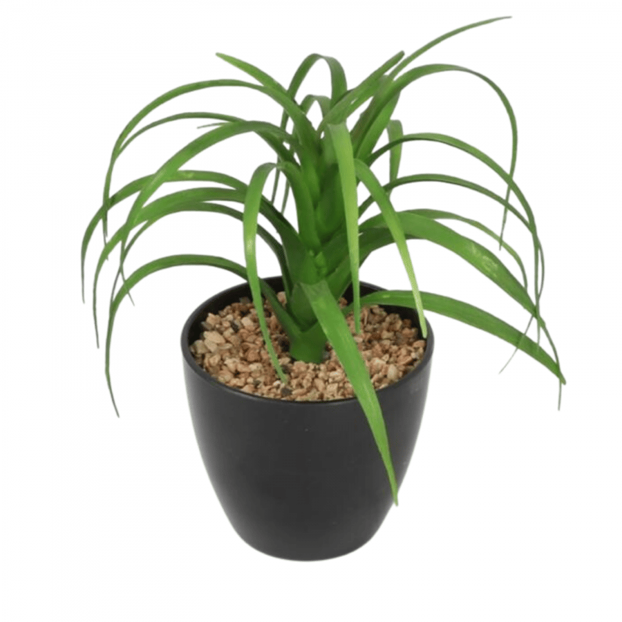Black basin artificial planting