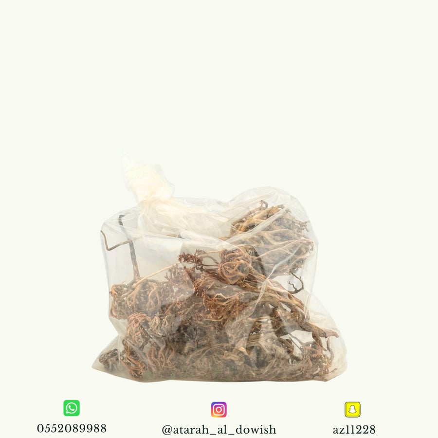 عشبة كف مريم