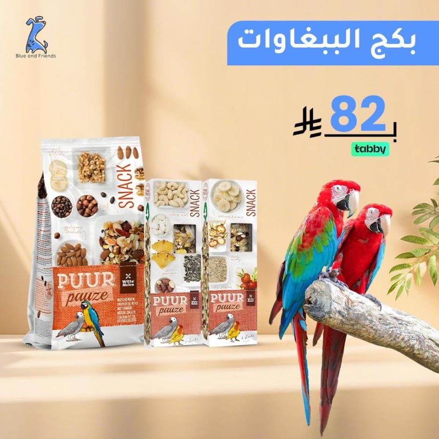 بكج الببغاوات