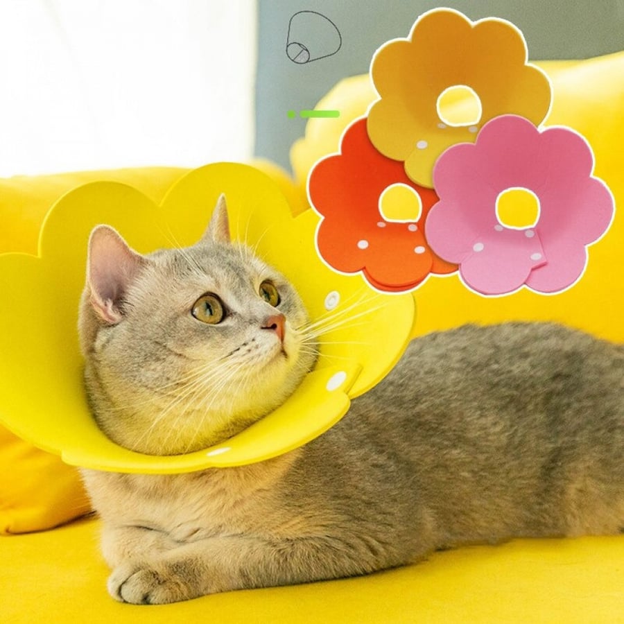 طوق للقطط على شكل زهور مخروطي الشكل
