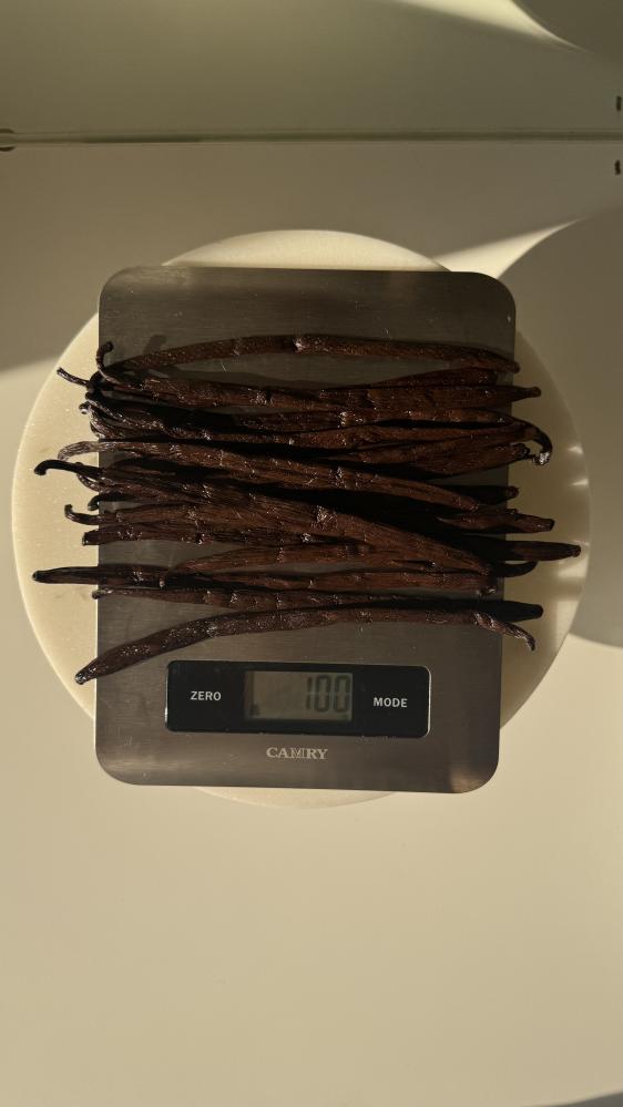 Vanilla مدغشقر اسود ‏من ١٨ الى ٢٠ عود