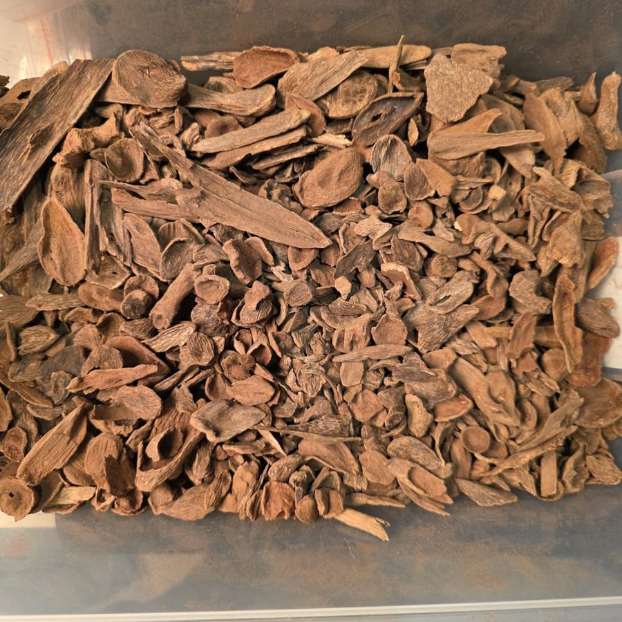 قواقع مالينو دبل سوبر