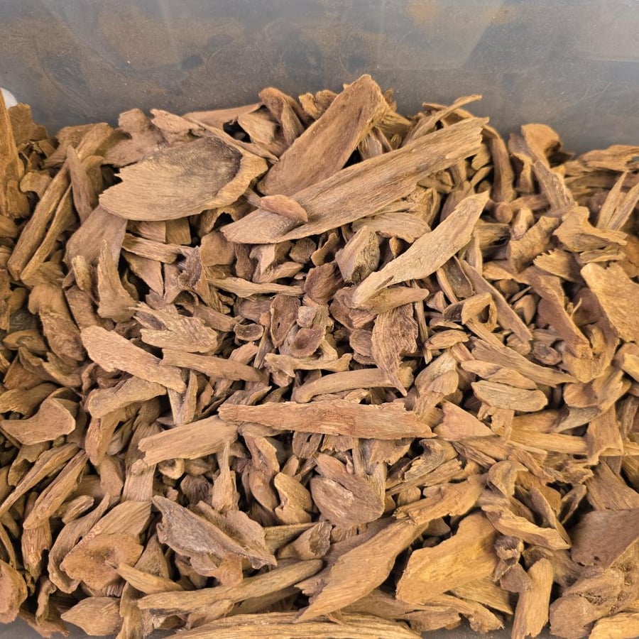 قواقع مالينو فاخر