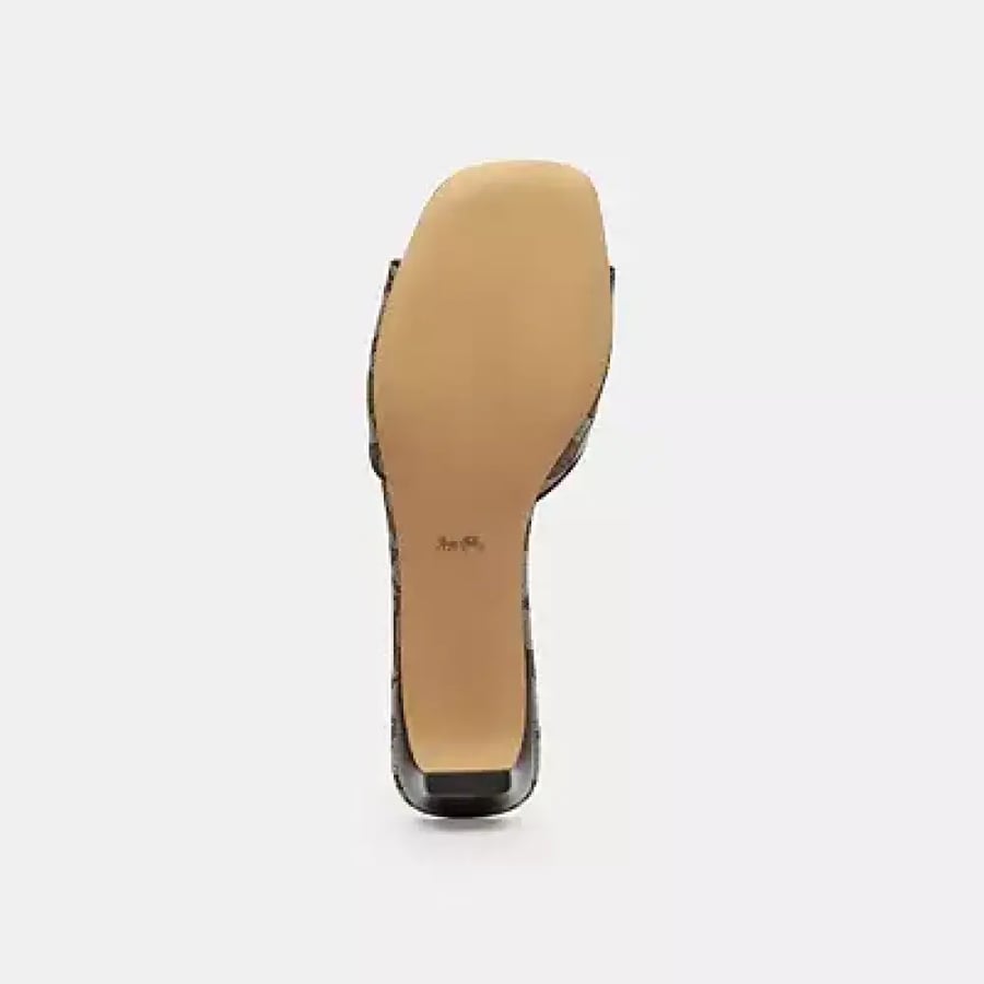 صندل كوتش