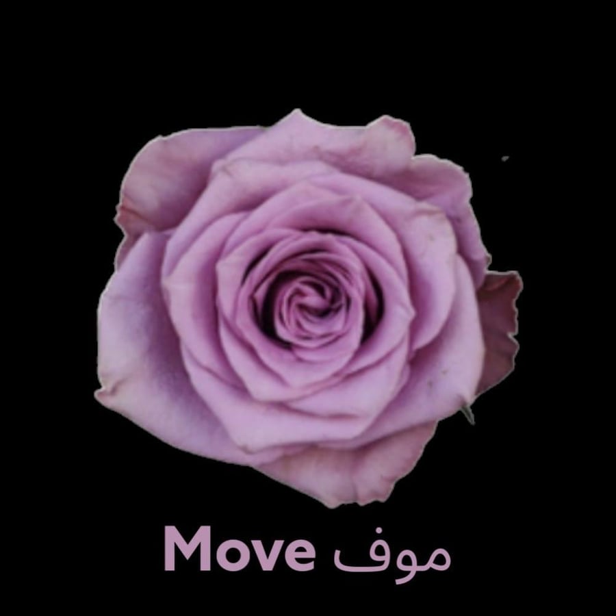 باقة 10وردة حمرا تغليف ابيض.    Bouquet of 10 red roses white
