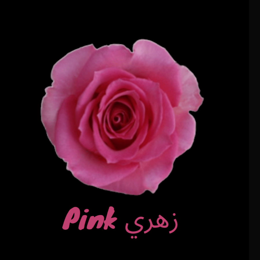 الحنونة مع شوكولاتة بستاني وردة Hanouna with Boustani Rose chocolate