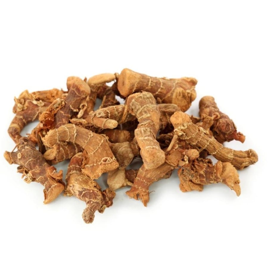 شتلات الخولنجان galangal root