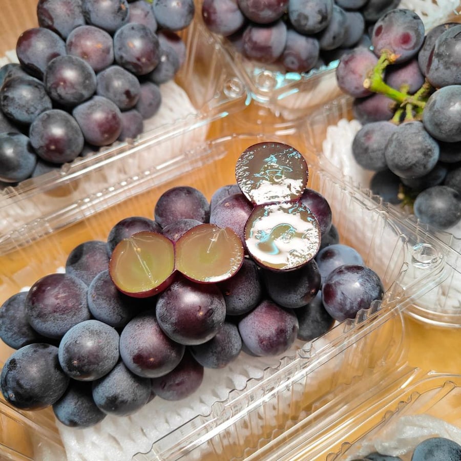 شتلات عنب كيوهو الياباني Kyoho Grapes