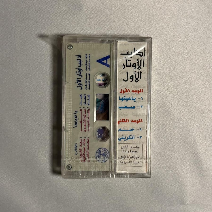 مهرجان ادليب الاوتار  ٩٩