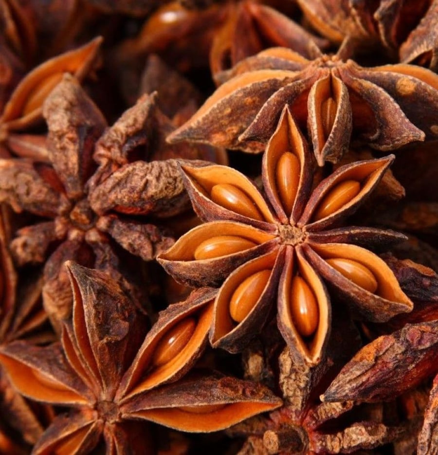 نجمة الينسوان
