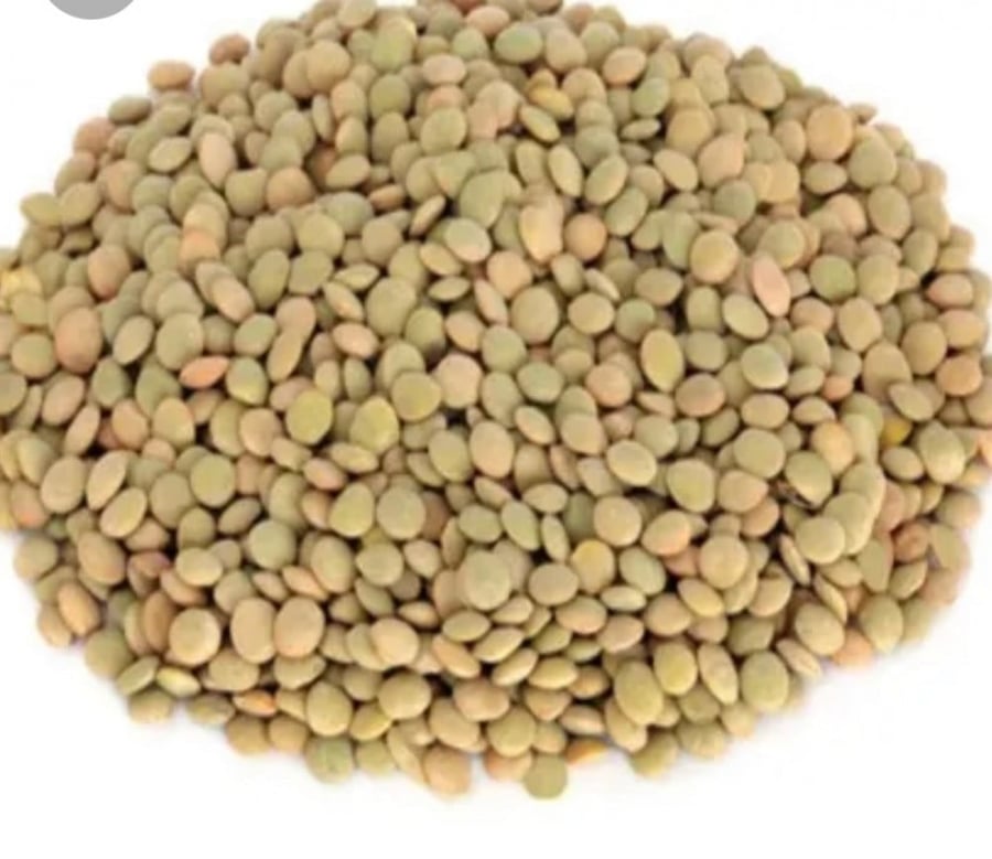 عدس اخضر ابو جبة