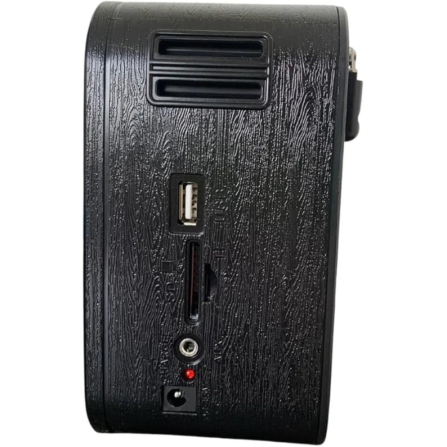 راديو محمول DENX DX2450   12