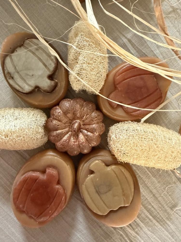 صابونة القرع
