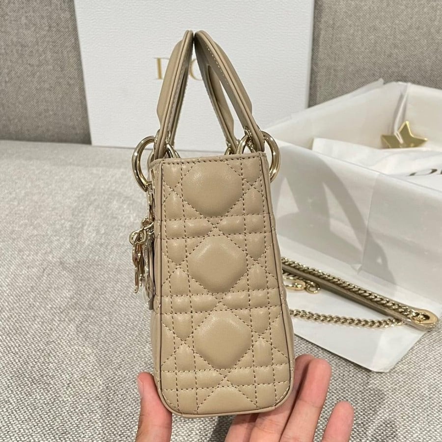 SMALL LADY DIOR BAG