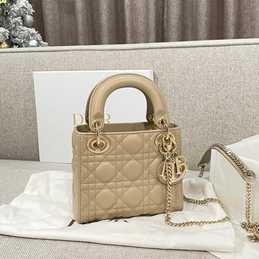 SMALL LADY DIOR BAG