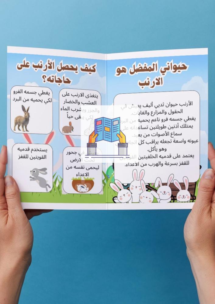 حيواني المفضل الارنب