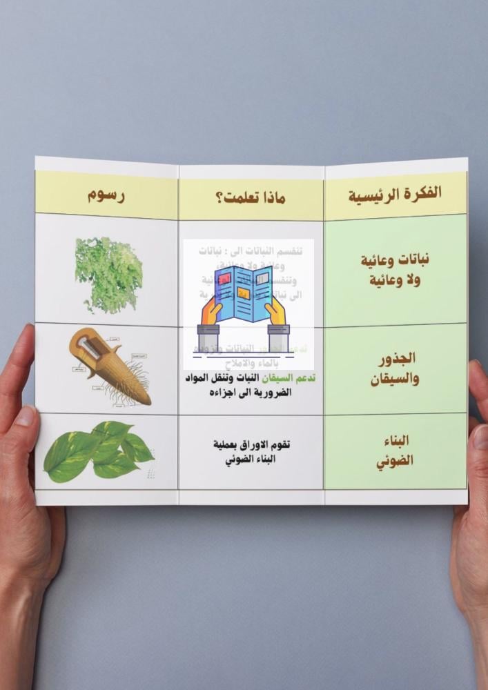 النباتات