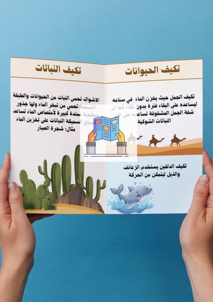 التكيف