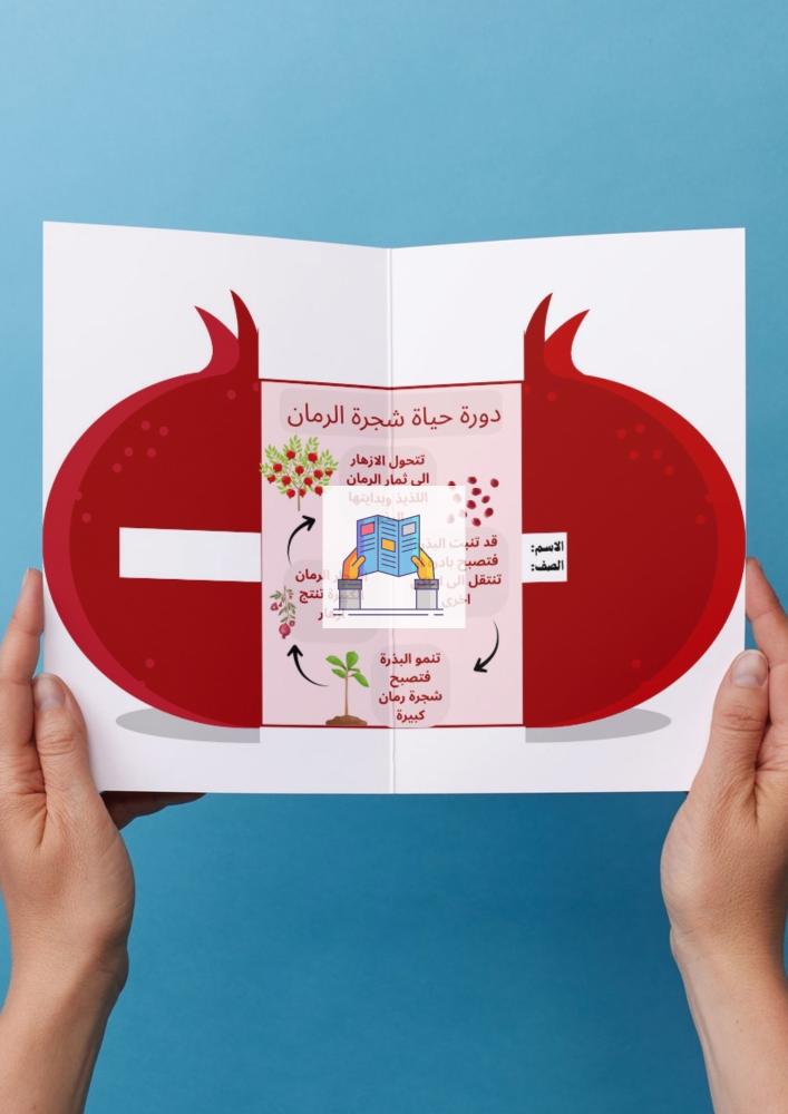دورة حياة شجرة الرمان