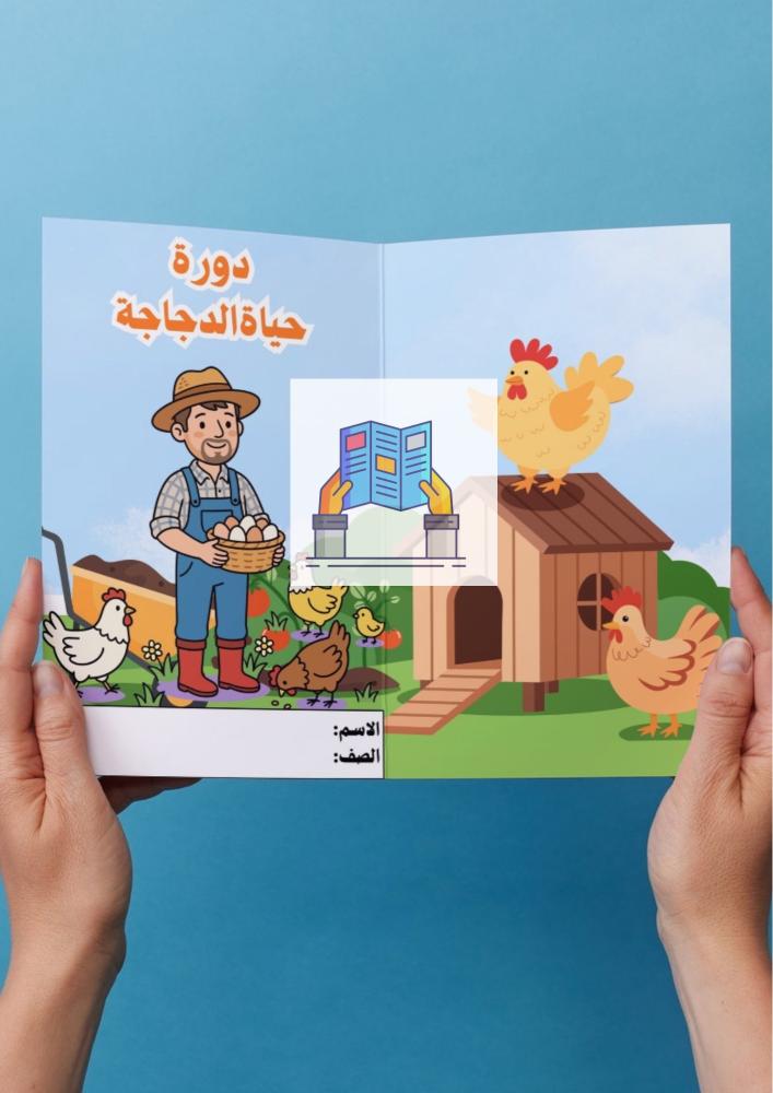 دورة حياة الدجاجة