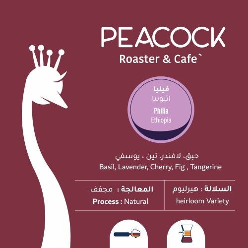 محمصة الطاووس - فيليا - اثيوبي 250ج