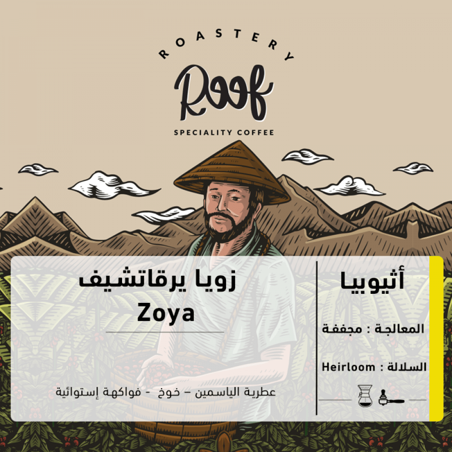 محمصة رووف | زويا يرقاتشيف - أثيوبيا