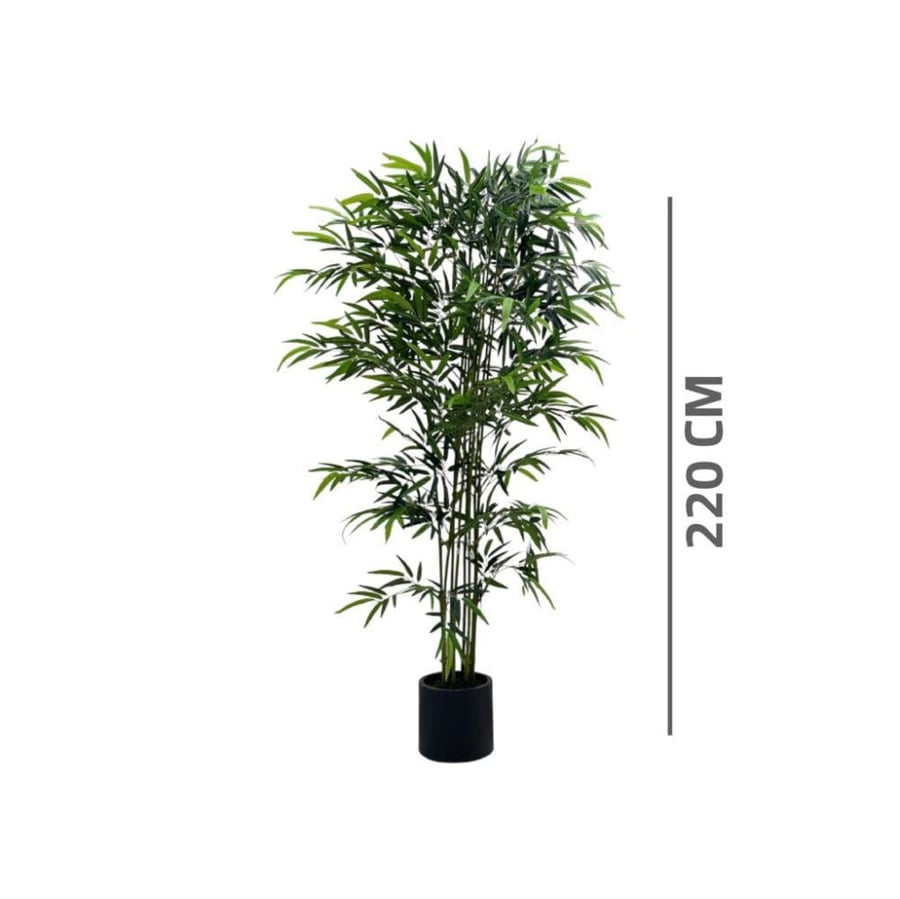 Bamboo tree