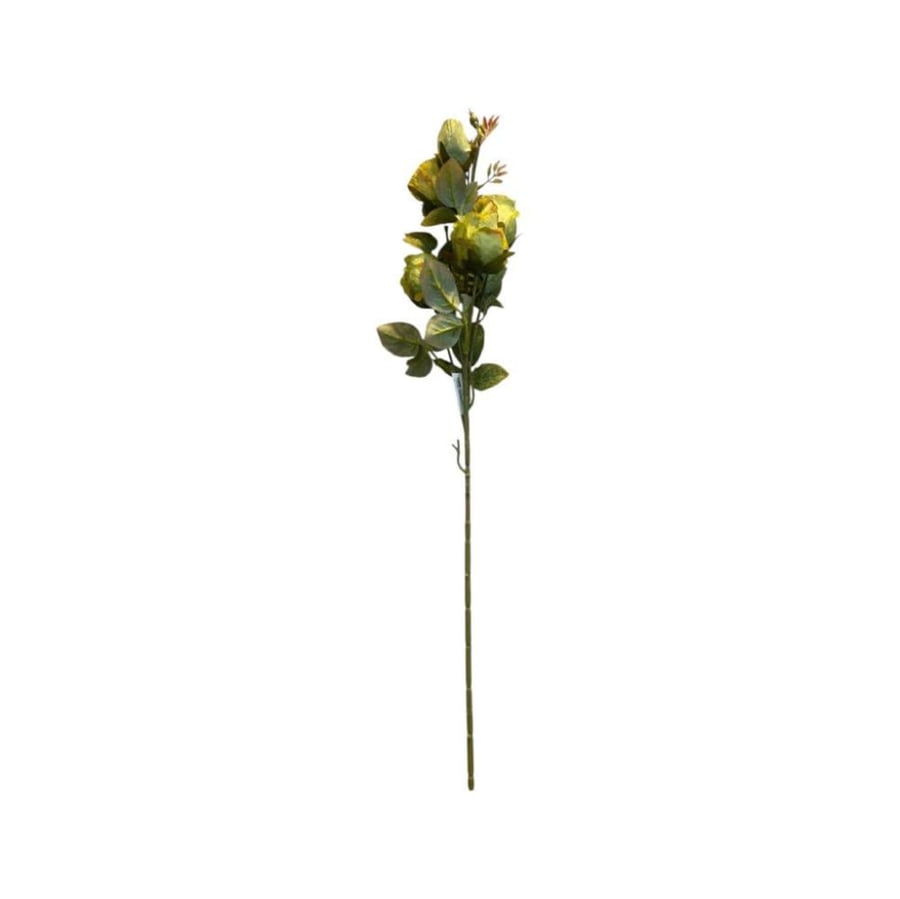 غصن ورد